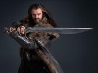 /album/thorin-paveza/thorin-17-jpg/